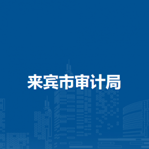 来宾市审计局各部门负责人和联系电话