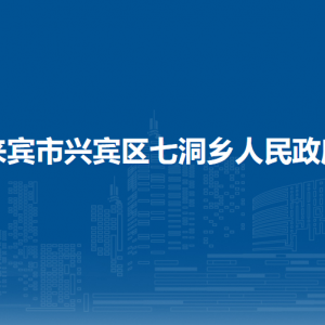 来宾市兴宾区七洞乡政府各部门负责人和联系电话