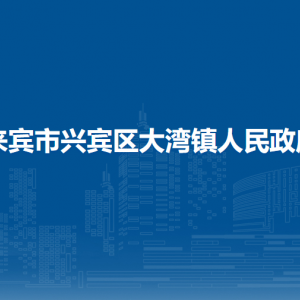 来宾市兴宾区大湾镇政府各部门负责人和联系电话