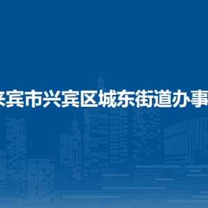 来宾市兴宾区城东街道办事处各部门负责人和联系电话