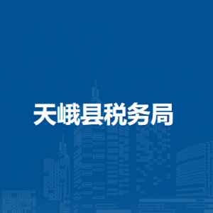 天峨县税务局办税服务厅办公时间地址及纳税服务电话