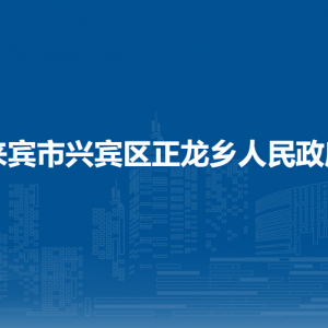 来宾市兴宾区正龙乡政府各部门负责人和联系电话