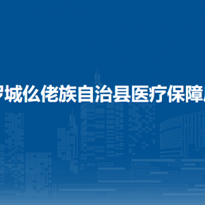 罗城仫佬族自治县医疗保障局各部门职责及联系电话