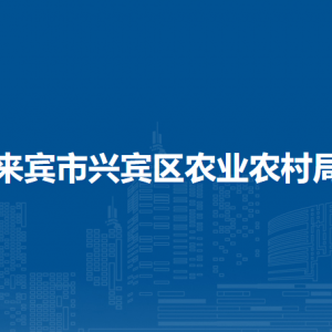 来宾市兴宾区农业农村局各部门负责人和联系电话
