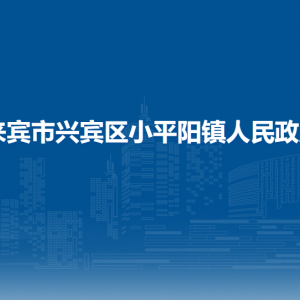 来宾市兴宾区小平阳镇政府各部门负责人和联系电话