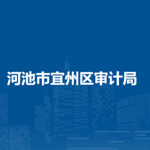 河池市宜州区审计局各部门负责人和联系电话