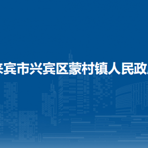 来宾市兴宾区蒙村镇政府各部门负责人和联系电话