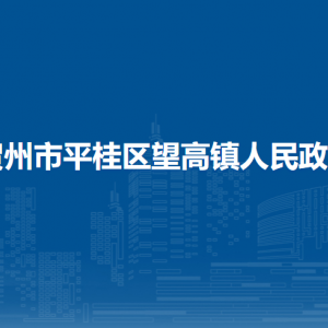 贺州市平桂区望高镇政府各部门负责人和联系电话
