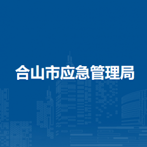 合山市应急管理局各部门负责人和联系电话