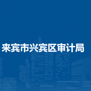 来宾市兴宾区审计局各部门负责人和联系电话
