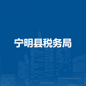 宁明县税务局办税服务厅办公时间地址及纳税服务电话