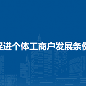 促进个体工商户发展条例（全文）