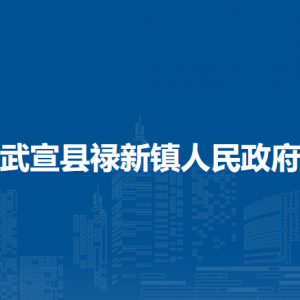 武宣县禄新镇政府各部门负责人和联系电话