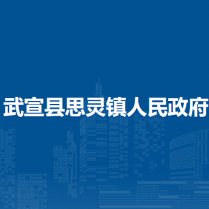 武宣县思灵镇政府各部门负责人和联系电话