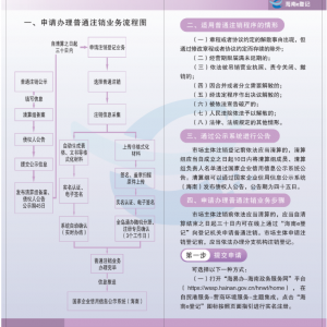 海南市场主体登记平台公司注销操作指南