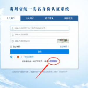 贵州省工商电子化系统个体工商户设立登记操作指南