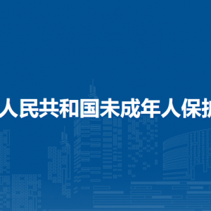 中华人民共和国未成年人保护法（全文）