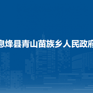 息烽县青山苗族乡党务政务服务中心