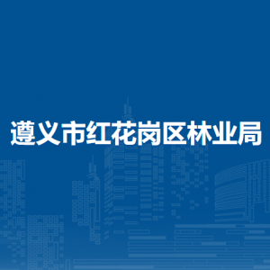 遵义市红花岗区林业局各部门负责人和联系电话