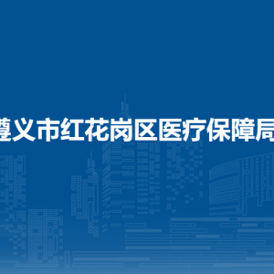 遵义市红花岗区医疗保障局监管股(政策法规股)
