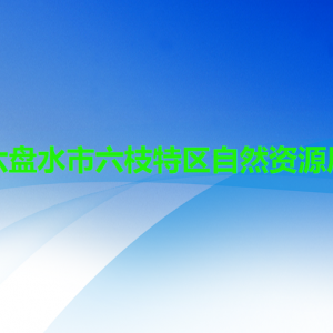 六盘水市六枝特区自然资源局各部门职责及联系电话