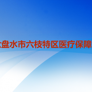 六盘水市六枝特区医疗保障局各部门职责及联系电话
