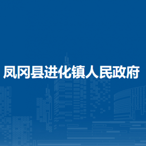 凤冈县进化镇政府各部门负责人和联系电话