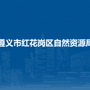 遵义市红花岗区自然资源局国土空间规划股
