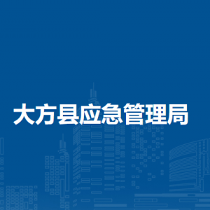 大方县应急管理局各部门负责人及联系电话