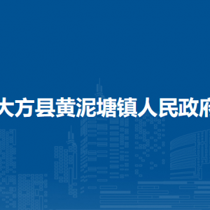 大方县黄泥塘镇​党务政务服务中心