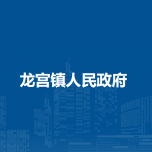 龙宫镇人民政府各部门职责及联系电话