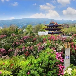 大方县各乡镇政府（街道办事处）工作时间和联系电话