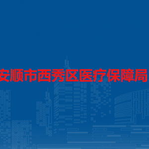 安顺市西秀区医疗保障局待遇保障基金监督科