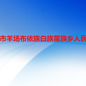 盘州市羊场布依族白族苗族乡政府各部门职责及联系电话