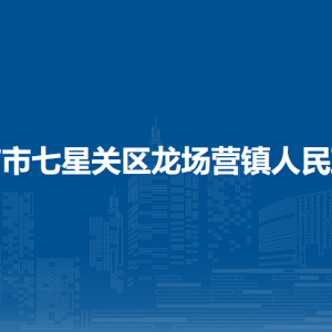 毕节市七星关区龙场营镇党务政务服务中心