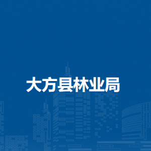 大方县林业局林业防灾减灾站