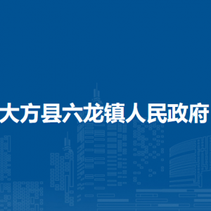 大方县六龙镇政府各部门负责人及联系电话