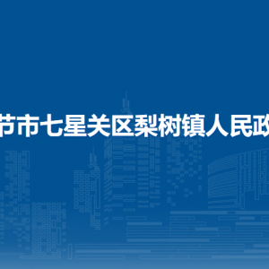 毕节市七星关区梨树镇党务政务服务中心