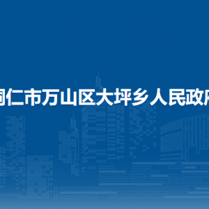 铜仁市万山区大坪乡​党务政务综合服务中心(便民服务中心)