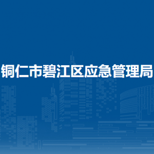铜仁市碧江区应急管理局各部门负责人及联系电话