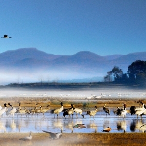威宁自治县政府各职能部门地址工作时间和联系电话