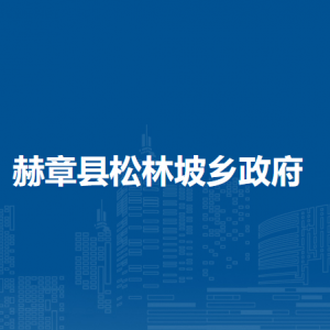 赫章县松林坡乡政府各部门负责人及联系电话