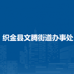 织金县文腾街道办事处党群服务中心（党务政务综合服务中心）