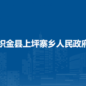 织金县上坪寨乡人民政府​党务政务服务中心