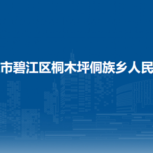 铜仁市碧江区桐木坪侗族乡政府各部门负责人及联系电话