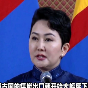 蒙古女外长巴特策策格的奇葩言论，彻底让蒙古经济疼了一次！