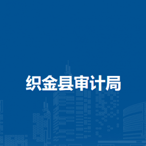 织金县审计局信息中心