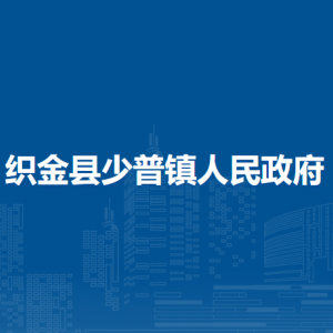 织金县少普镇政府党务政务服务中心