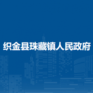 织金县珠藏镇政府便民服务中心