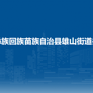 威宁县雄山街道办事处​党务政务服务中心